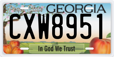 GA license plate CXW8951