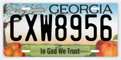 GA license plate CXW8956