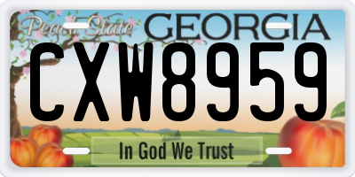 GA license plate CXW8959