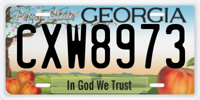 GA license plate CXW8973