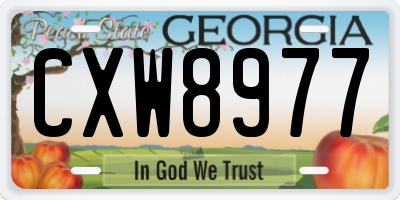 GA license plate CXW8977