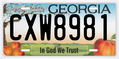GA license plate CXW8981