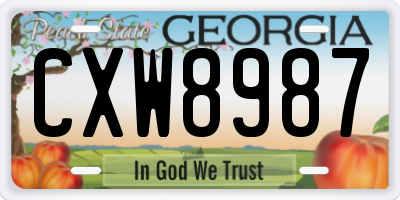 GA license plate CXW8987