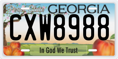 GA license plate CXW8988
