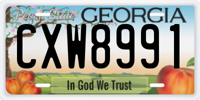 GA license plate CXW8991