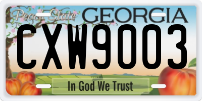 GA license plate CXW9003
