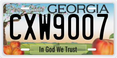 GA license plate CXW9007