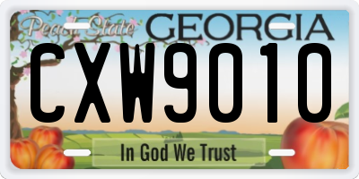 GA license plate CXW9010