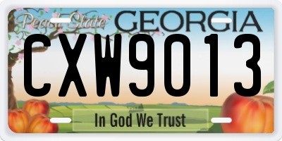 GA license plate CXW9013