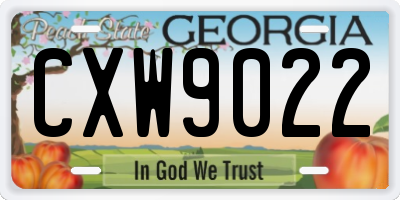 GA license plate CXW9022