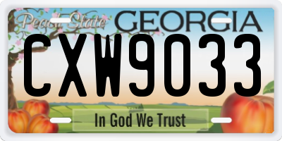 GA license plate CXW9033