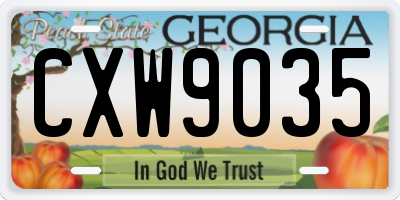 GA license plate CXW9035