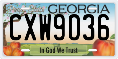 GA license plate CXW9036