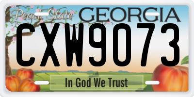 GA license plate CXW9073