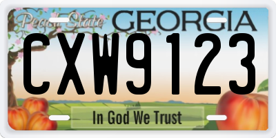 GA license plate CXW9123