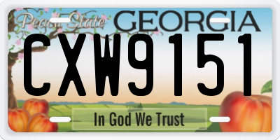 GA license plate CXW9151