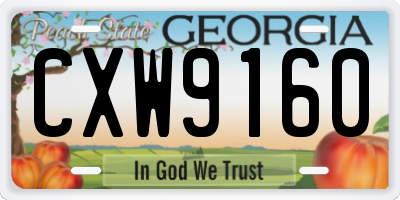GA license plate CXW9160