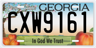 GA license plate CXW9161