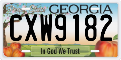 GA license plate CXW9182