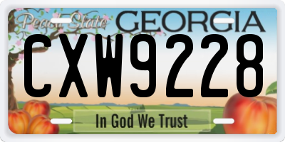 GA license plate CXW9228