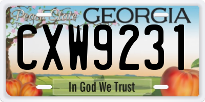 GA license plate CXW9231