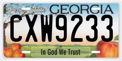 GA license plate CXW9233