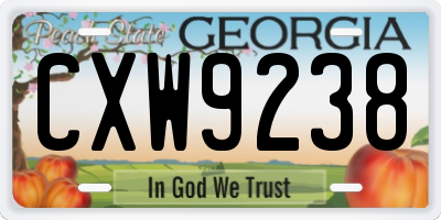 GA license plate CXW9238