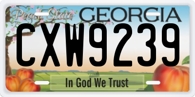 GA license plate CXW9239