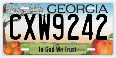 GA license plate CXW9242