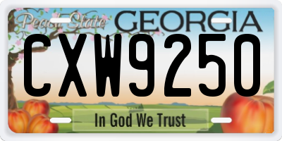 GA license plate CXW9250