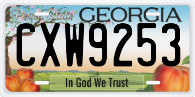 GA license plate CXW9253