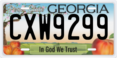 GA license plate CXW9299