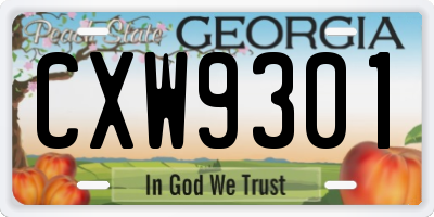 GA license plate CXW9301