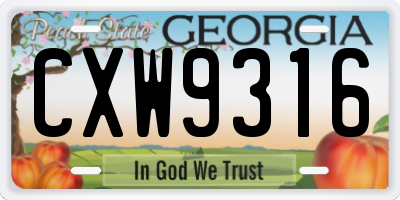 GA license plate CXW9316