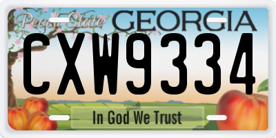 GA license plate CXW9334