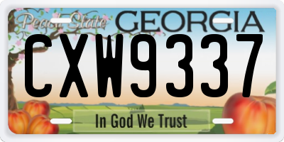 GA license plate CXW9337