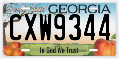 GA license plate CXW9344