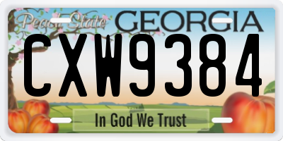 GA license plate CXW9384