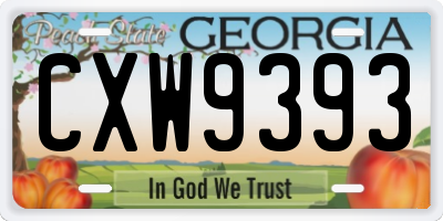 GA license plate CXW9393