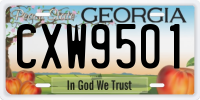 GA license plate CXW9501