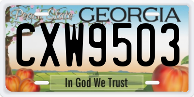 GA license plate CXW9503