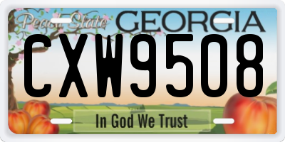 GA license plate CXW9508