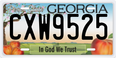GA license plate CXW9525
