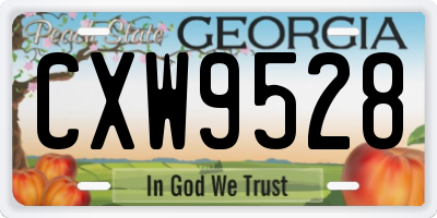 GA license plate CXW9528