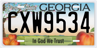 GA license plate CXW9534