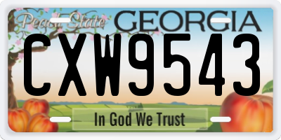 GA license plate CXW9543