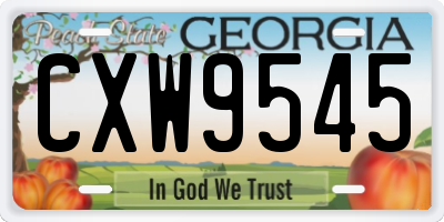 GA license plate CXW9545