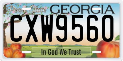 GA license plate CXW9560