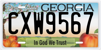 GA license plate CXW9567