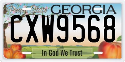 GA license plate CXW9568